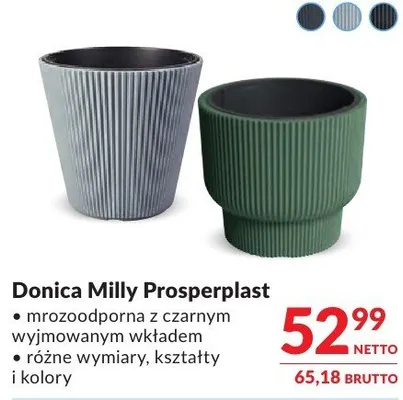Donica Milly Prosperplast różne wymiary, kształty i kolory promocja w Makro