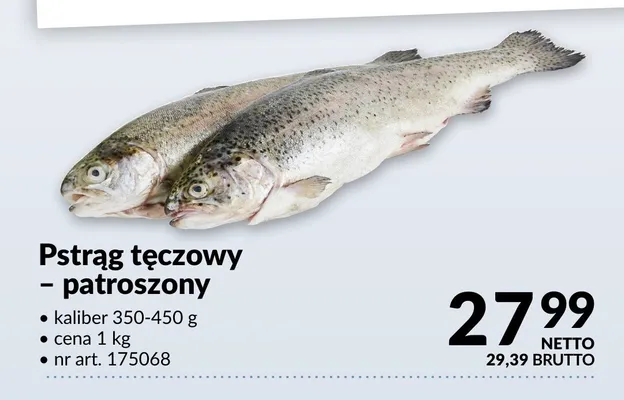 Pstrąg tęczowy patroszony kaliber 350-450g promocja w Makro