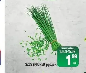 Szczypiorek promocja w Tomi Markt