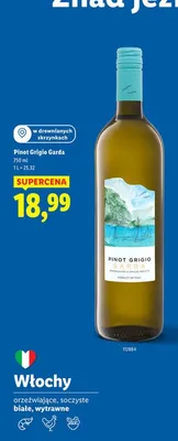 Wino Pinot Grigio Garda promocja w Lidl