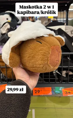 Maskotka 2 w 1 kapibara/królik promocja w Biedronka