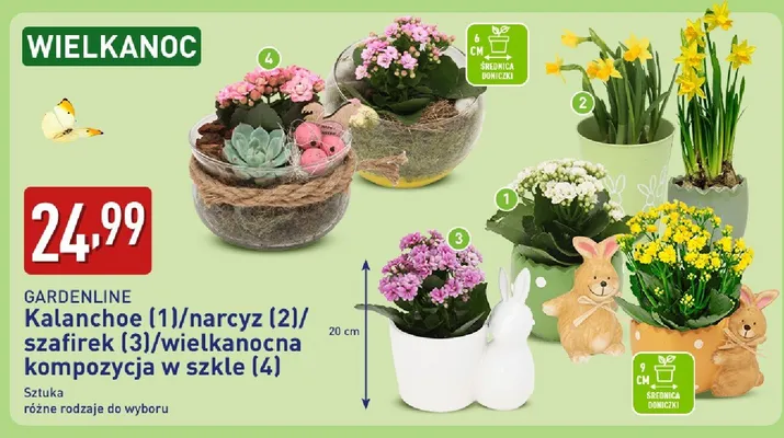 Wielkanocna kompozycja w szkle promocja w Aldi
