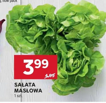 Sałata masłowa promocja w Stokrotka