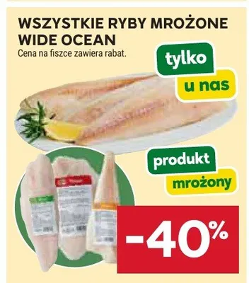 Wszystkie ryby mrożone Wide Ocean promocja w Stokrotka
