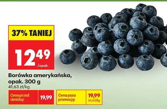 Borówka amerykańska promocja w Biedronka