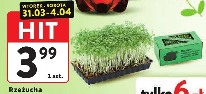 Rzeżucha promocja w Intermarche