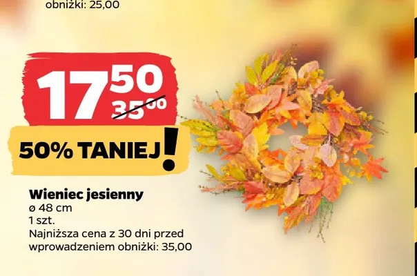 Wieniec jesienny 48 cm promocja w Netto