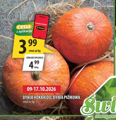 Dynia piżmowa promocja w Arhelan
