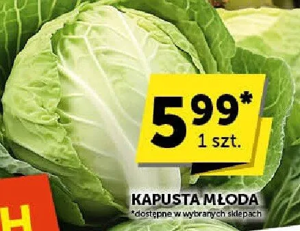 Kapusta promocja w ABC