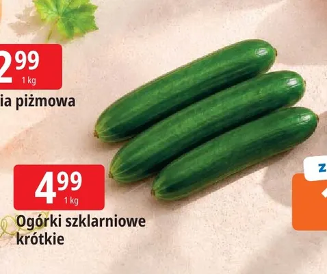 Ogórki szklarniowe krótkie promocja w Leclerc