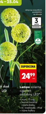 Lampa solarna czosnek ozdobny LED promocja w Biedronka