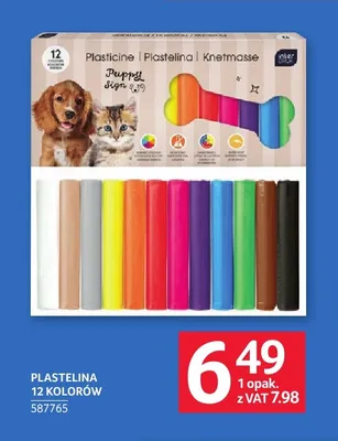 Plastelina 12 kolorów Interdruk promocja w Selgros