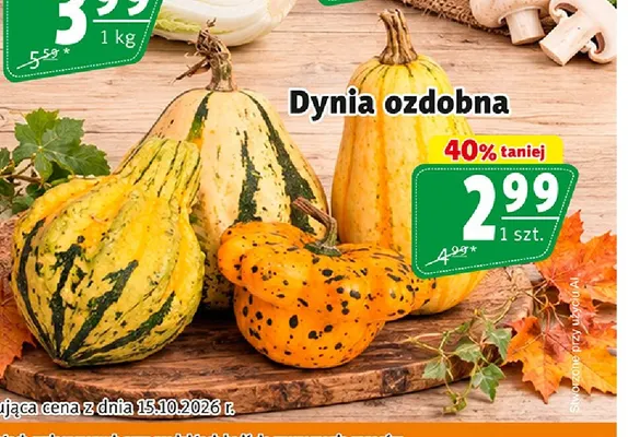 Dynia ozdobna promocja w Prim Market