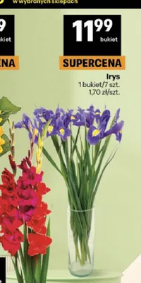 Irys promocja w Delikatesy Centrum