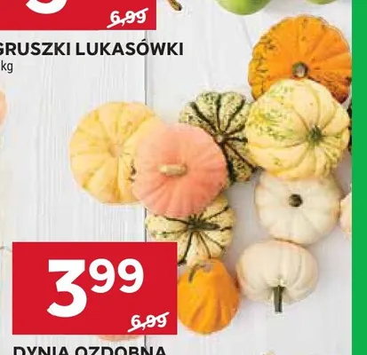 Dynia ozdobna promocja w Stokrotka