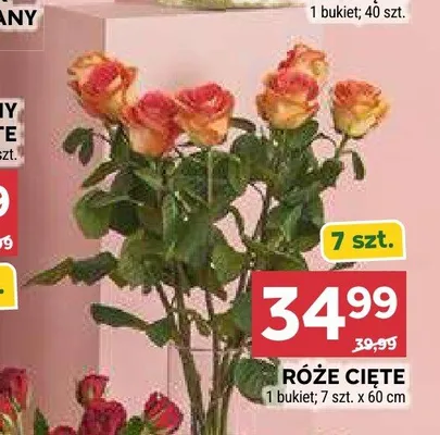 Róże cięte 60cm promocja w Stokrotka