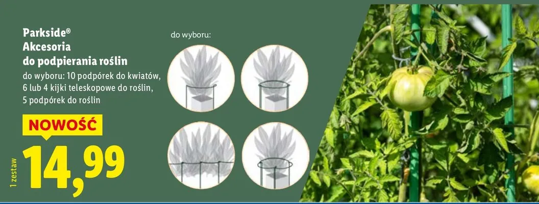 Akcesoria do podpierania roślin  promocja w Lidl