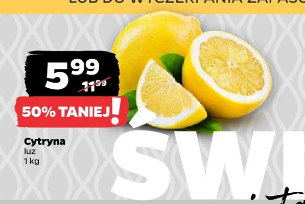 Cytryny luzem promocja w Netto