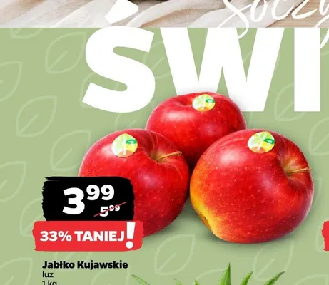 Jabłko Kujawskie luz promocja w Netto