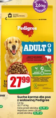 Sucha karma dla psa z wołowiną Pedigree Adult promocja w Dino