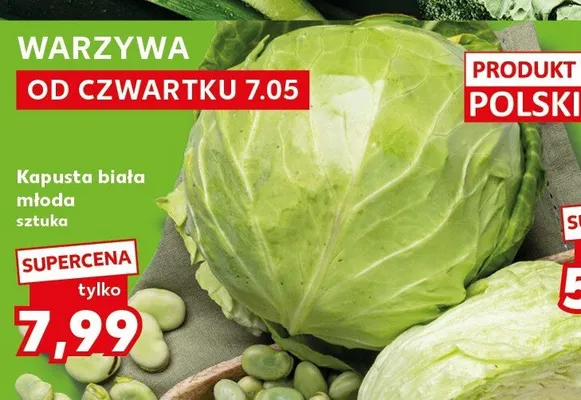 Kapusta biała młoda promocja w Kaufland