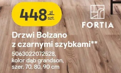 Drzwi Bolzano z czarnymi szybkami promocja w Castorama