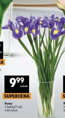 Irysy promocja w Delikatesy Centrum