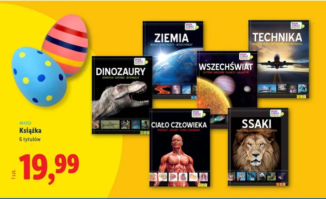 Książka promocja w Lidl