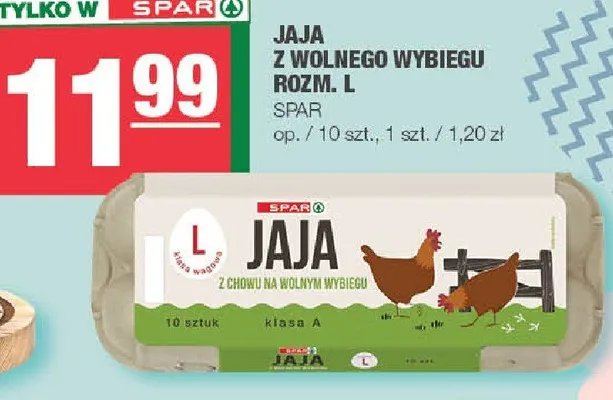 Jaja z wolnego wybiegu rozm. L promocja w SPAR