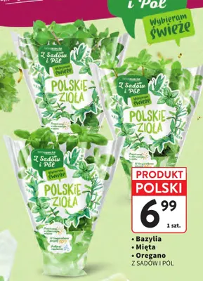 Oregano Z Sadów i Pól promocja w Intermarche