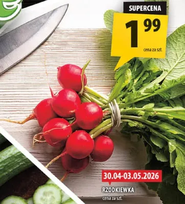 Rzodkiewka promocja w Arhelan