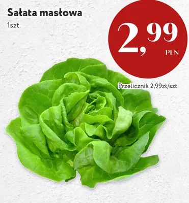 Sałata masłowa promocja w Market Point