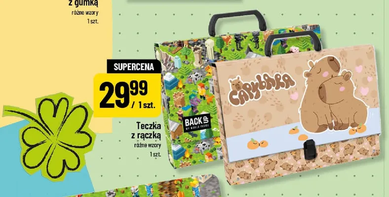 Teczka z rączką Backup promocja w POLOmarket