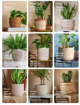 Doniczka gliniana rattan promocja w Castorama