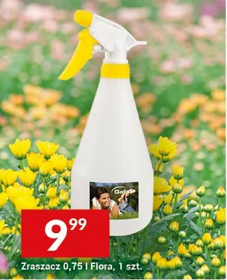 Zraszacz 0,75l Flora promocja w Twój Market