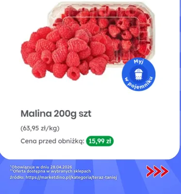 Malina promocja w Dino