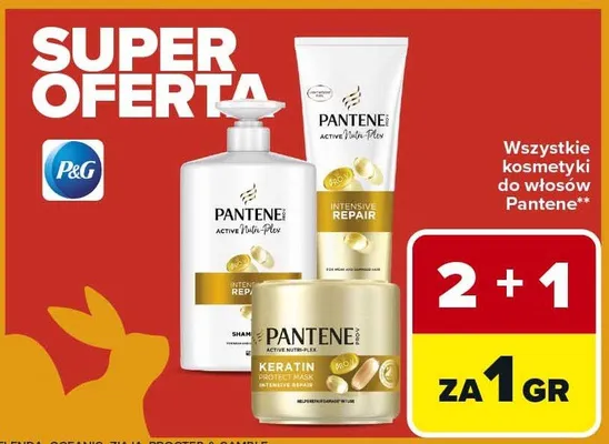 Szampon Intensive Repair promocja w Carrefour