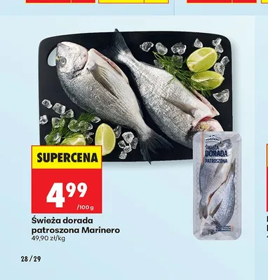 Świeża dorada patroszona Marinero promocja w Biedronka