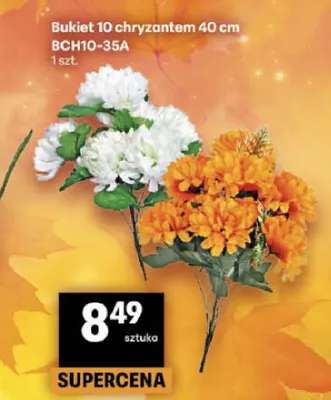 Bukiet 10 chryzantem 40 cm BCH10-35A promocja w Delikatesy Centrum