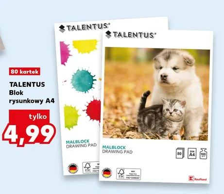 Blok rysunkowy A4 Talentus 80 kartek promocja w Kaufland