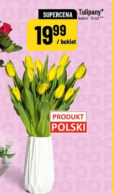 Tulipany polskie promocja w POLOmarket