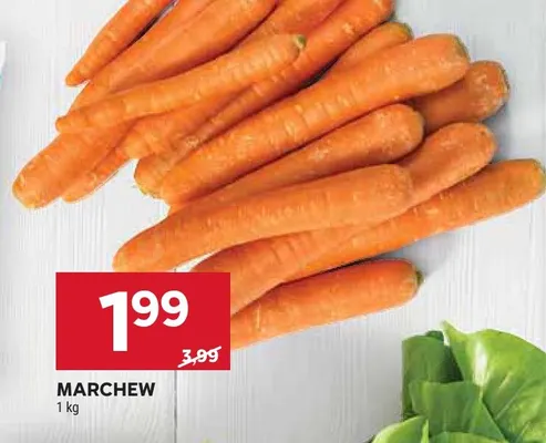 Marchew promocja w Stokrotka