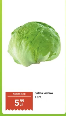 Sałata lodowa, 1 szt. promocja w Biedronka