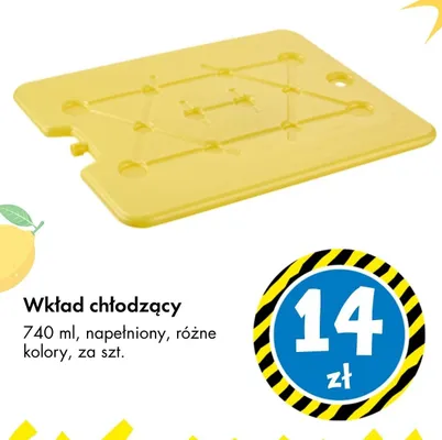 Wkład chłodzący napełniony promocja w Tedi