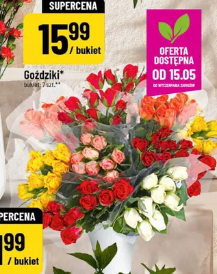Róże promocja w POLOmarket