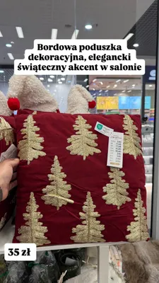 Poduszka dekoracyjna Pepco Christmas promocja w Pepco