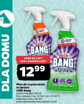Płyn do czyszczenia w sprayu promocja w Netto