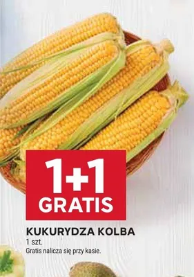 Kukurydza kolba promocja w Stokrotka