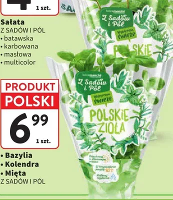 Kolendra Z Sadów i Pól promocja w Intermarche