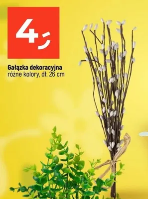 Gałązka dekoracyjna różne kolory promocja w Dealz